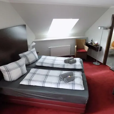 Garni Eifeler Hof 3* Mayen